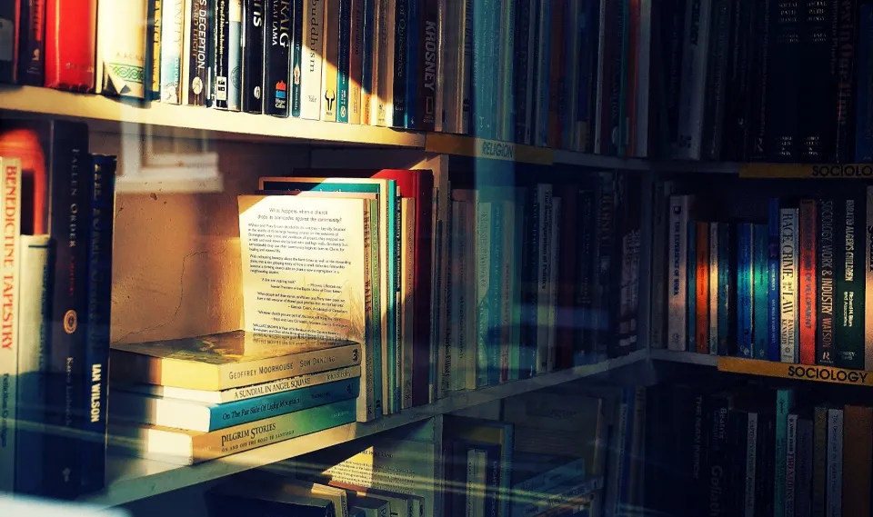Estanterías de una biblioteca con volúmenes alineados y luz cálida lateral